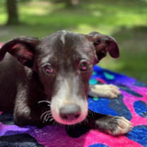 Thumbnail photo of Happy hip hop #1