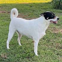 Thumbnail photo of Margo #2