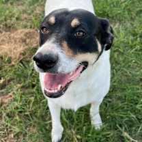 Thumbnail photo of Margo #3