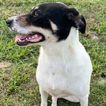 Thumbnail photo of Margo #4