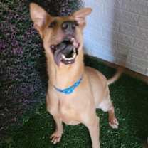 Thumbnail photo of Mona #2