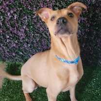 Thumbnail photo of Mona #3