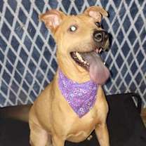 Thumbnail photo of Mona #4