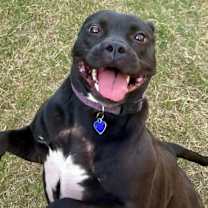 Thumbnail photo of Tiffani #4