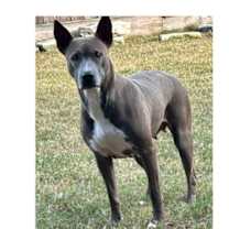 Thumbnail photo of Kelley #4