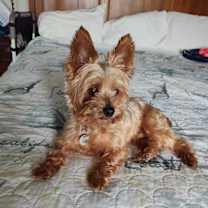 Thumbnail photo of Toker #4