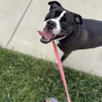 Thumbnail photo of Tootsie #2