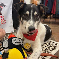 Thumbnail photo of Buddy #2