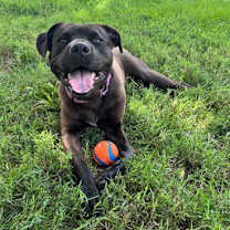 Thumbnail photo of Lady #1