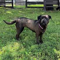 Thumbnail photo of Lady #2