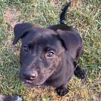 Thumbnail photo of Colombo #1