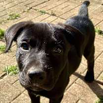 Thumbnail photo of Colombo #2