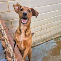 Thumbnail photo of Jonah  #1