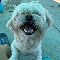 Thumbnail photo of Hot Sauce #2