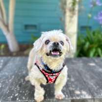 Thumbnail photo of Hot Sauce #4