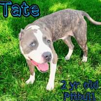 Thumbnail photo of Tate #2