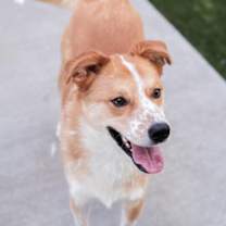 Thumbnail photo of Radar #1