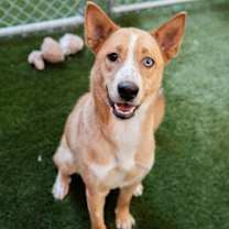 Thumbnail photo of Rowe #3