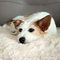 Thumbnail photo of Minnie #2