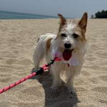 Thumbnail photo of Minnie #4