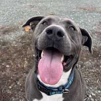 Thumbnail photo of Randy #2