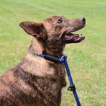 Thumbnail photo of SOREN #3