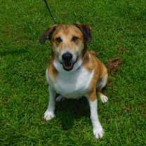 Thumbnail photo of Cletus #1