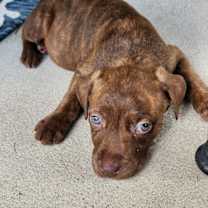 Thumbnail photo of Mayor McCheese #4