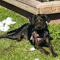 Thumbnail photo of TJ #2