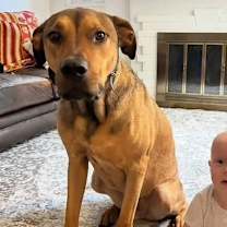 Thumbnail photo of Hank #2