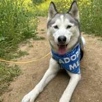 Thumbnail photo of Arthur (Courtesy Post) #2