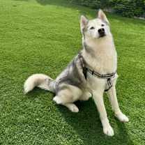 Thumbnail photo of Arthur (Courtesy Post) #3