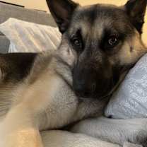 Thumbnail photo of Ace #3