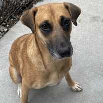 Thumbnail photo of Kylie #1