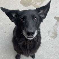 Thumbnail photo of Kendall #1