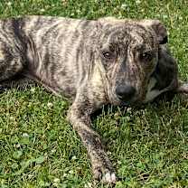 Thumbnail photo of Andre c 🩵💙 #1