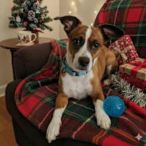 Thumbnail photo of Diggy #2