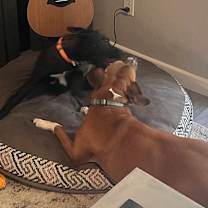 Thumbnail photo of Miss Lexie #3