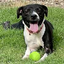 Thumbnail photo of Greta #2