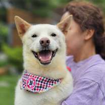 Thumbnail photo of Bella #3