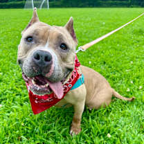 Thumbnail photo of Venus #1