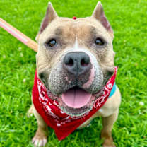 Thumbnail photo of Venus #2