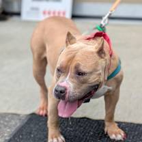 Thumbnail photo of Venus #4