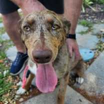 Thumbnail photo of Lucy #2