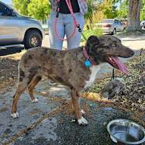 Thumbnail photo of Lucy #3