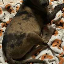 Thumbnail photo of Charlie #2