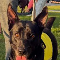 Thumbnail photo of Sax #2