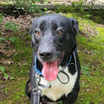 Thumbnail photo of Sax #4