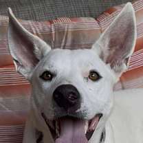 Thumbnail photo of River #1