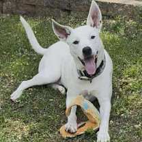 Thumbnail photo of River #2